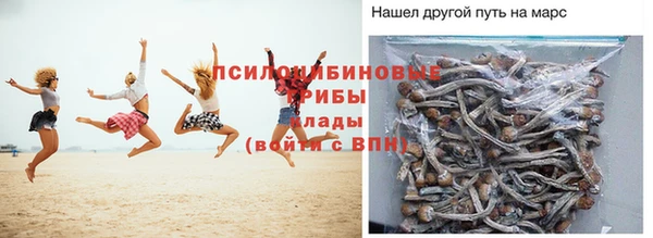 ПСИЛОЦИБИНОВЫЕ ГРИБЫ Алексеевка