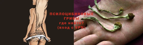 ПСИЛОЦИБИНОВЫЕ ГРИБЫ Алексеевка