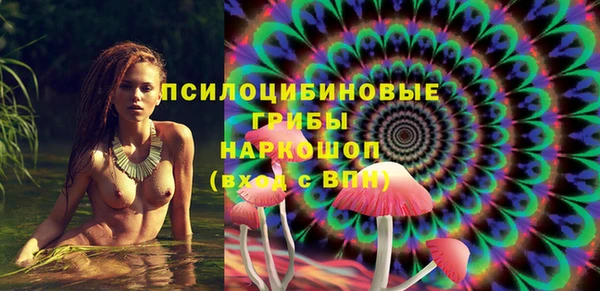 соль ск Алексин