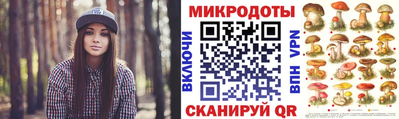 купить   Ветлуга  Псилоцибиновые грибы мицелий 